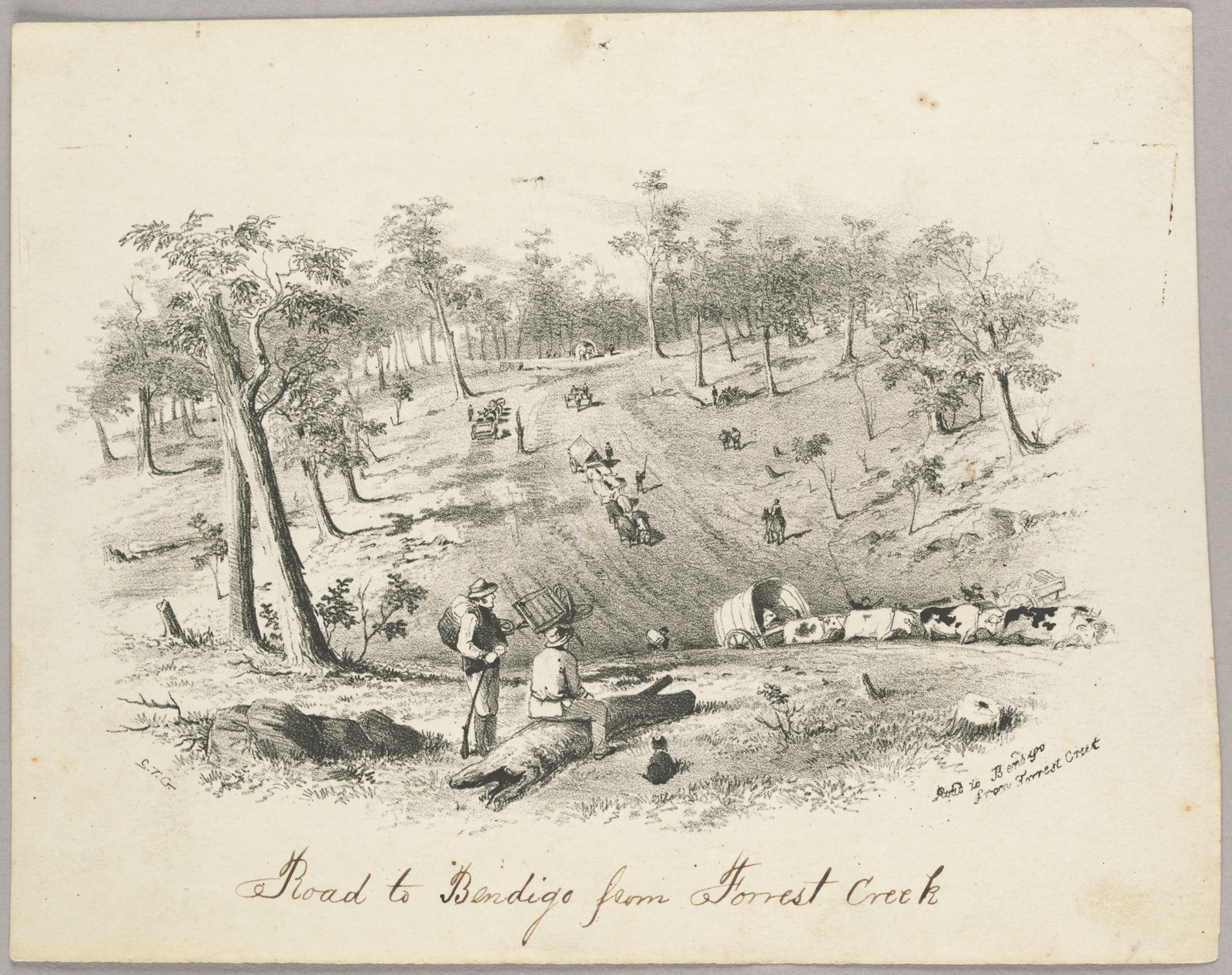 Thumbnail image for Road to Bendigo from Forrest Creek | SLV H7839