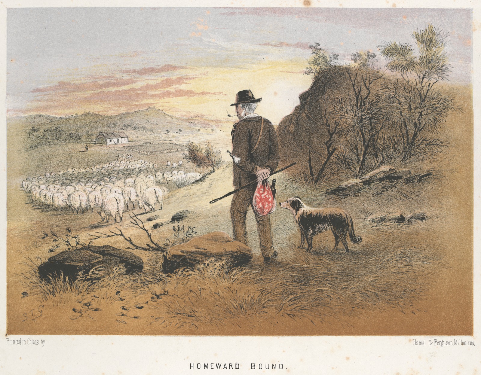 Thumbnail image for Homeward Bound | SLV H17136