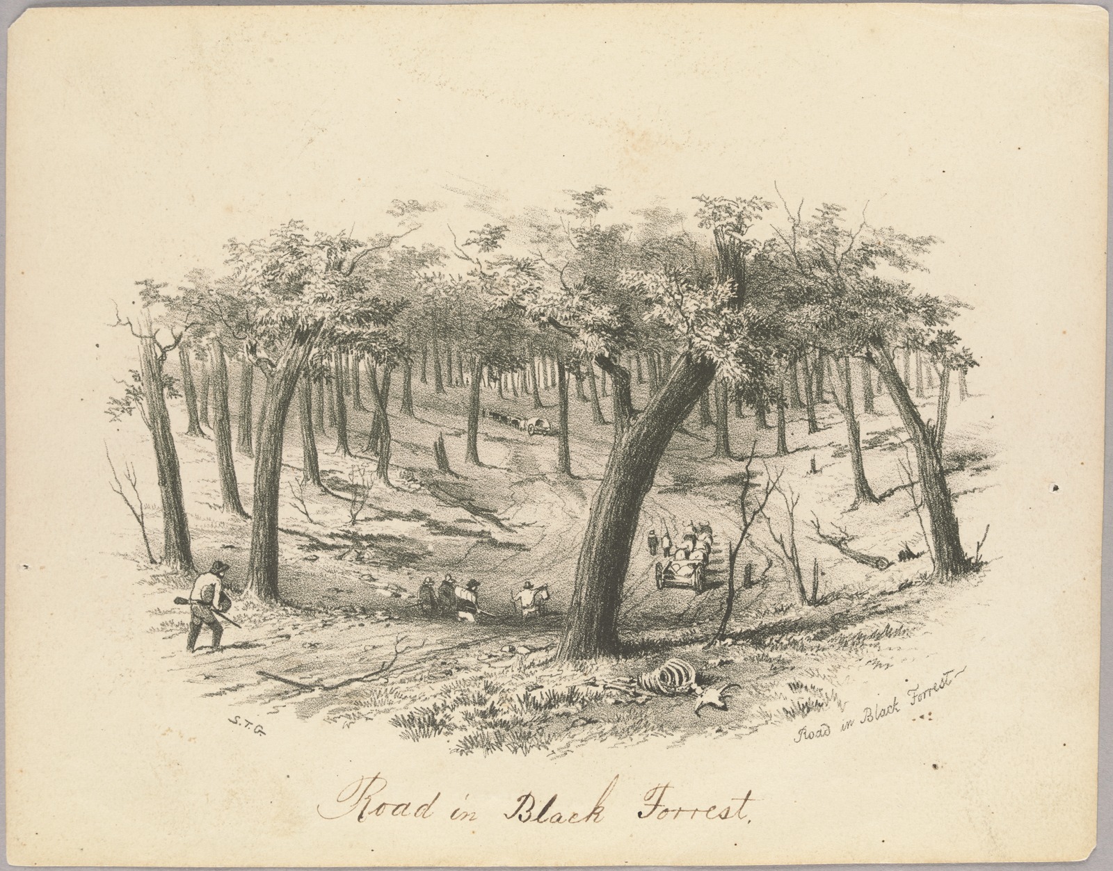 Thumbnail image for Road in Black Forrest | SLV H7817