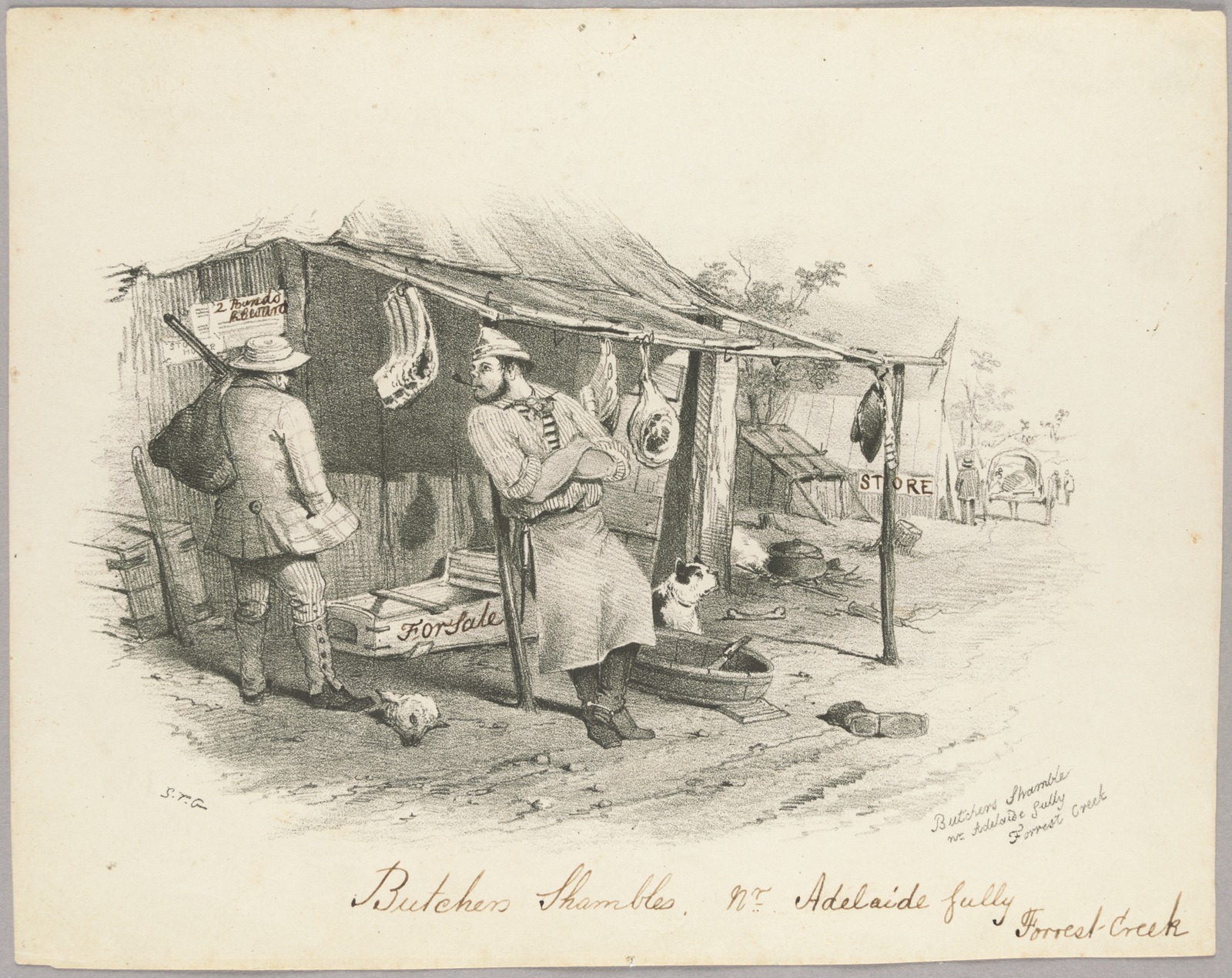 Thumbnail image for Butchers Shamble nr Adelaide Gully, Forrest Creek | SLV H7828