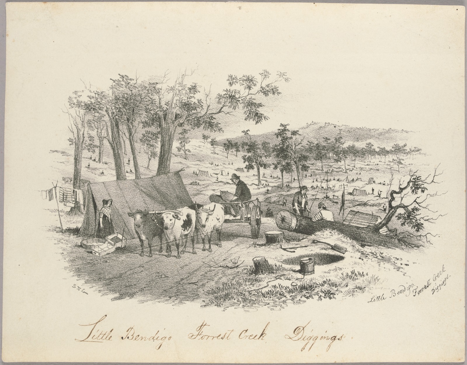 Thumbnail image for Little Bendigo, Forrest Creek Diggings | SLV H7829