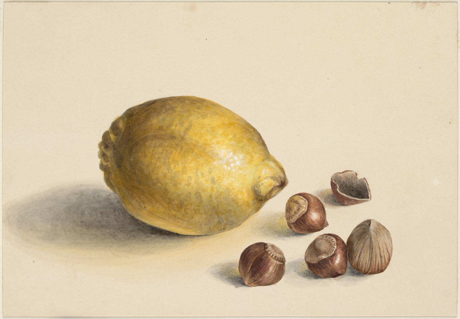 Watercolour illustration of a lemon with four while hazelnuts and a half hazelnut shell on a plain background