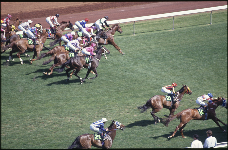 Two groups of horses on different sides of the track during a race