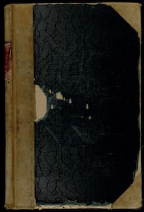 Link to digital version