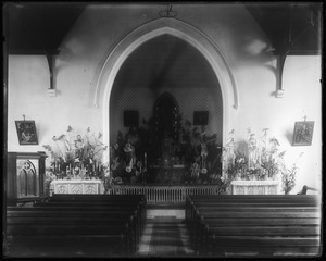 Link to digital version