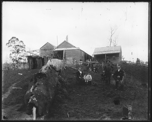 Link to digital version