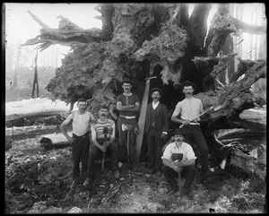 Link to digital version