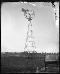 Link to digital version