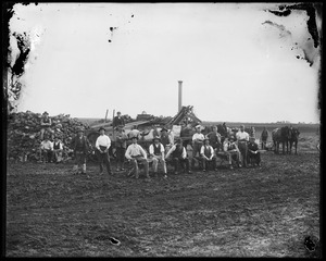 Link to digital version