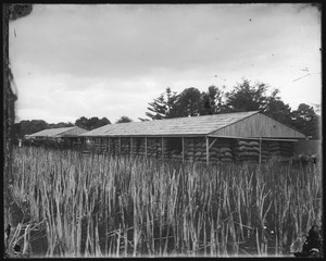 Link to digital version