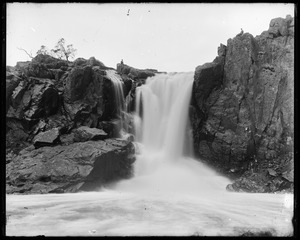 Link to digital version