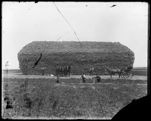 Link to digital version