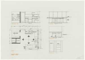 Link to digital version
