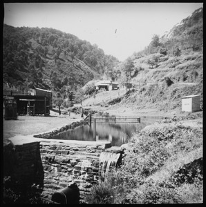 Link to digital version
