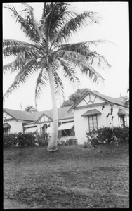 Link to digital version