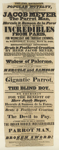 Link to digital version