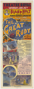 Link to digital version