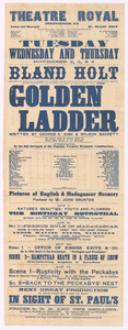 Link to digital version