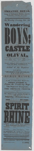 Link to digital version