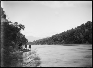 Link to digital version