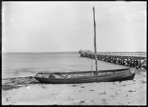 Link to digital version