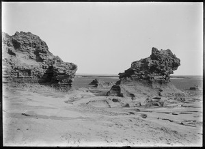 Link to digital version
