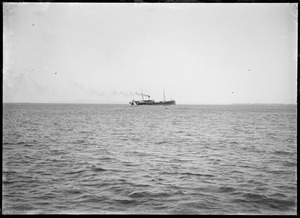 Link to digital version