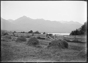 Link to digital version