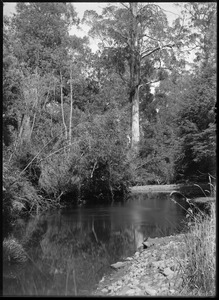 Link to digital version