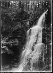 Link to digital version