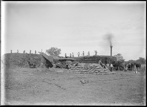 Link to digital version