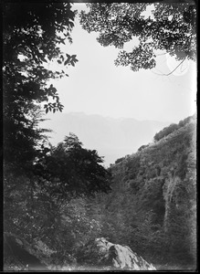 Link to digital version