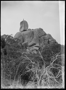 Link to digital version
