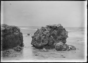 Link to digital version