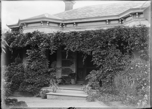 Link to digital version