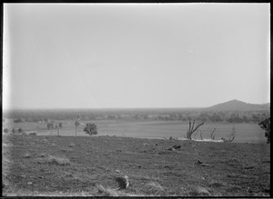 Link to digital version