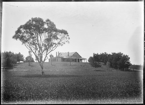 Link to digital version