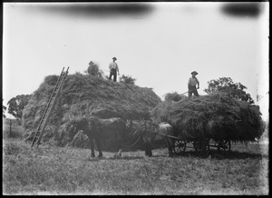 Link to digital version