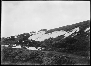 Link to digital version