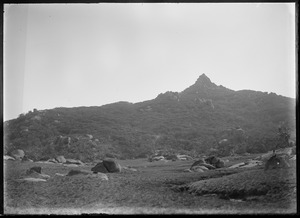 Link to digital version