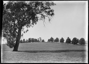 Link to digital version