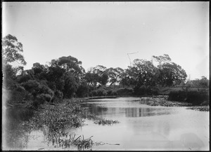 Link to digital version