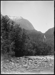 Link to digital version