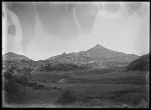 Link to digital version
