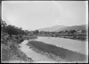 Link to digital version