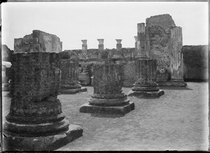 Link to digital version