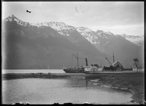 Link to digital version