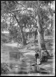 Link to digital version