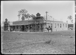 Link to digital version