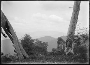 Link to digital version